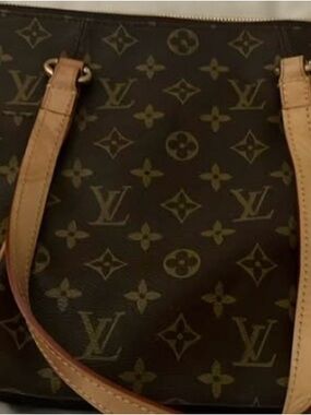 Louis Vuitton Monogram Canvas Tote in Brown and Tan